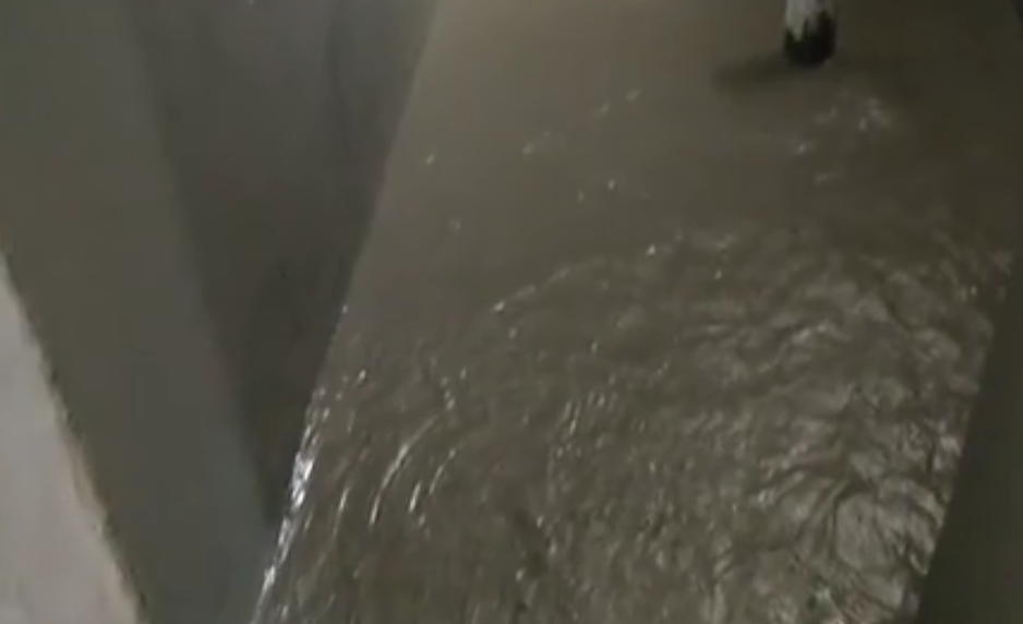 8f7a3e5c525893a6af7e2d95dd7d4fd